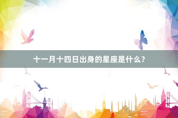 十一月十四日出身的星座是什么？