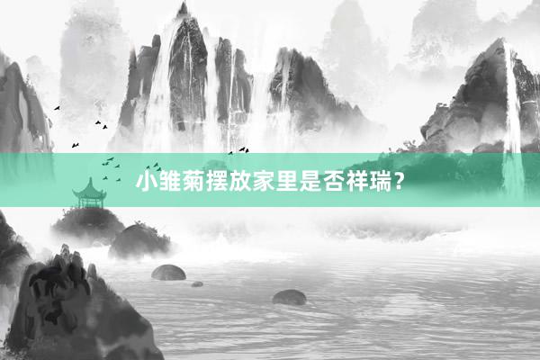 小雏菊摆放家里是否祥瑞？