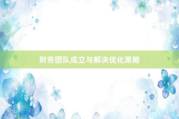 财务团队成立与解决优化策略